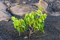 /album/galeria-fogo/a08193-jpg/